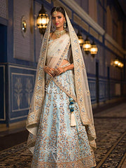 Denim Blue Raw Silk Lehenga Choli