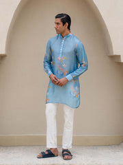 Light Blue Butterfly Printed Kurta