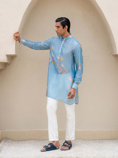 Light Blue Butterfly Printed Kurta