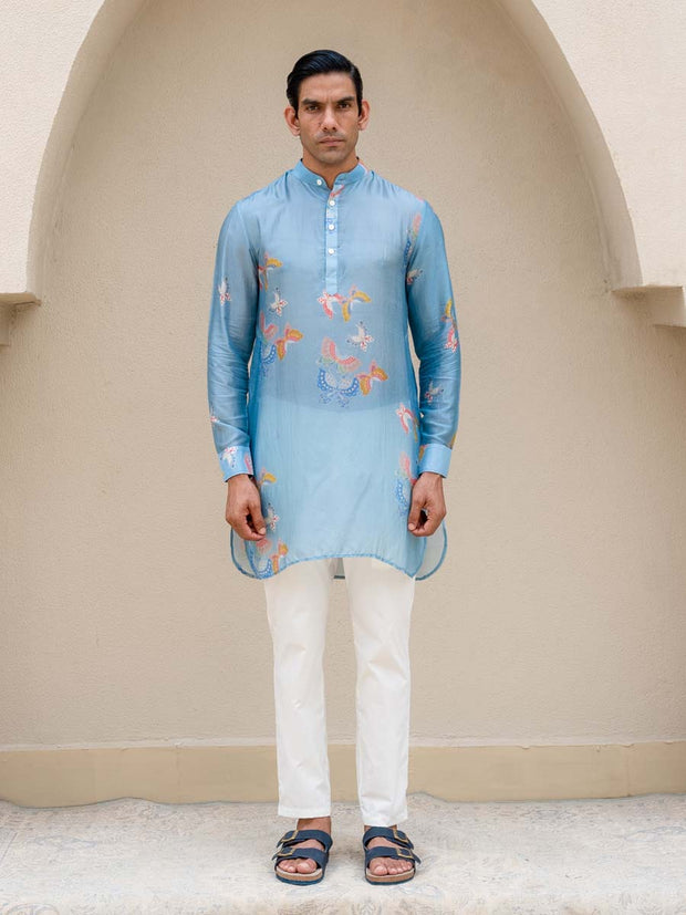 Light Blue Butterfly Printed Kurta