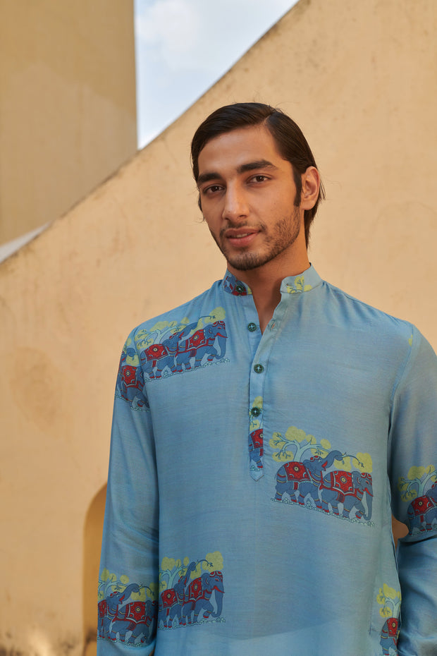 Blue Elephant applique Ganganagery Kurta