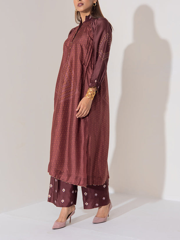Brown Vasansi Silk Co-Ord Set