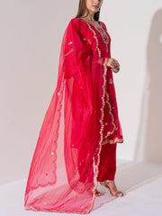 Red Vasansi Silk Suit Set