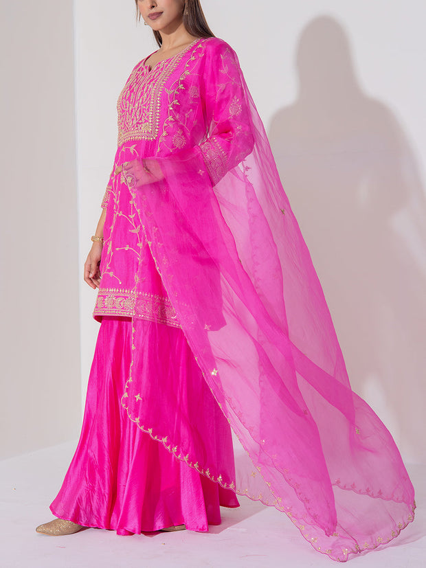 Pink Organza Suit Set
