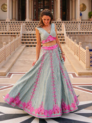 Blue Vasansi Silk Embroidered Lehenga