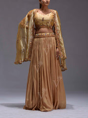 Golden Embroidered Tissue Cape and Skirt Set