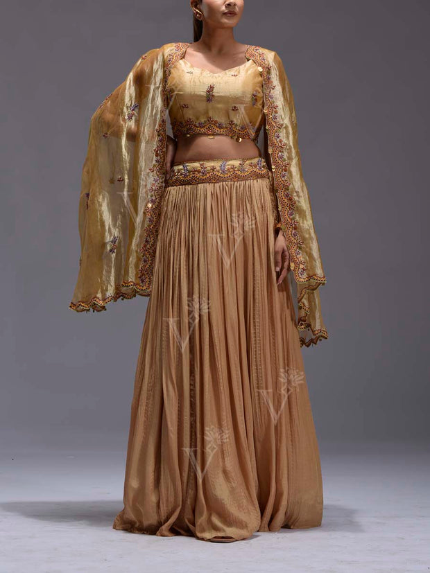 Golden Embroidered Tissue Cape and Skirt Set