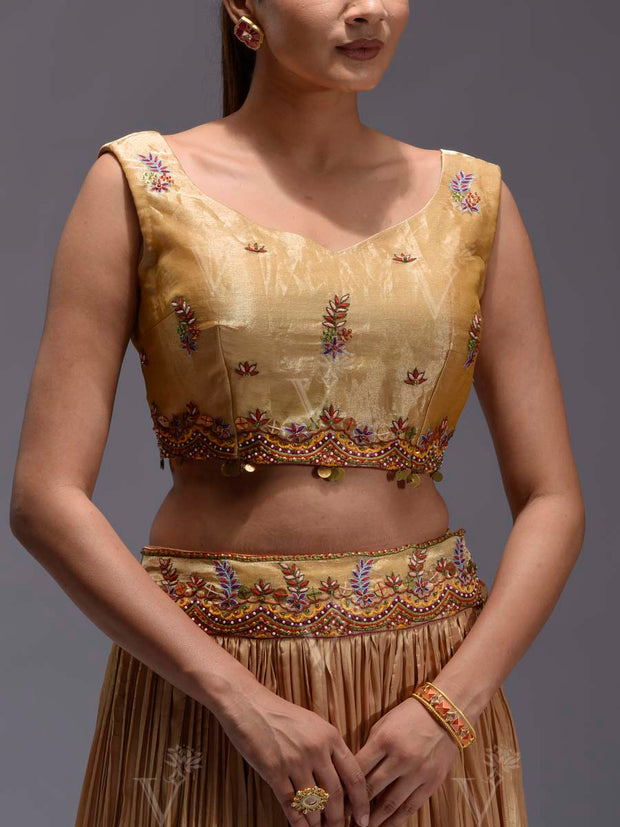 Golden Embroidered Tissue Cape and Skirt Set