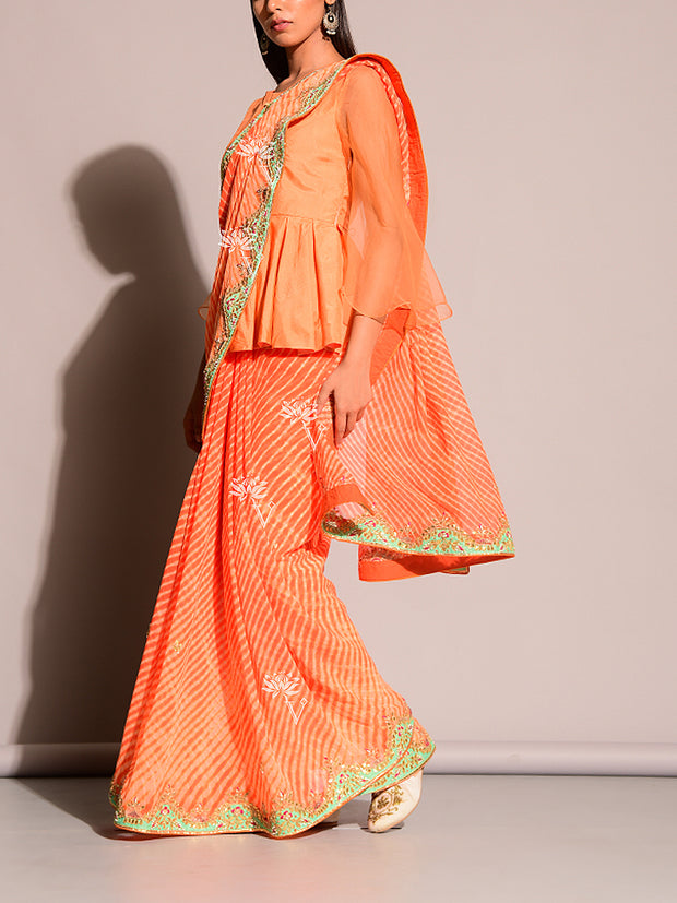 Sarees, Party Wear, Sheer, Silk, Pure Organza, Organza, Dola Silk