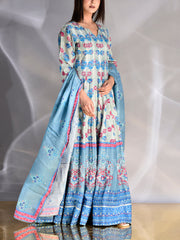 Powder Blue Vasansi Silk Printed Anarkali Gown