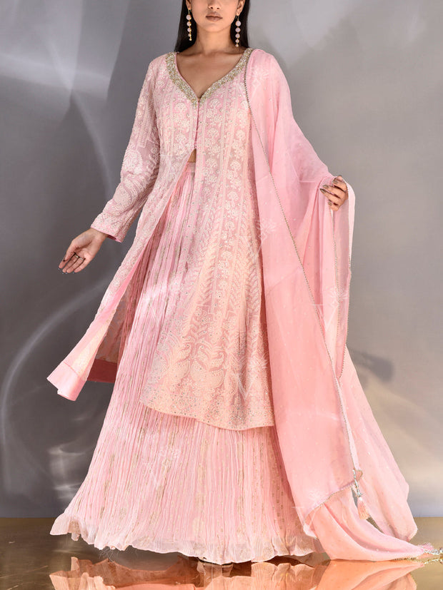 Pink Chikankari Georgette Kurta and Skirt Set