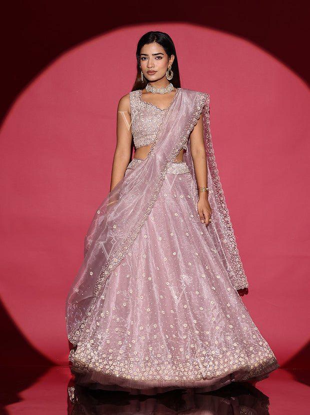 Sand Pink Organza Lehenga Set