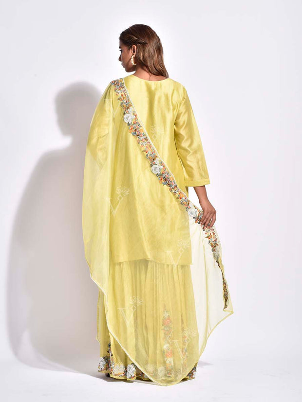 Lime Embroidered Sharara Set