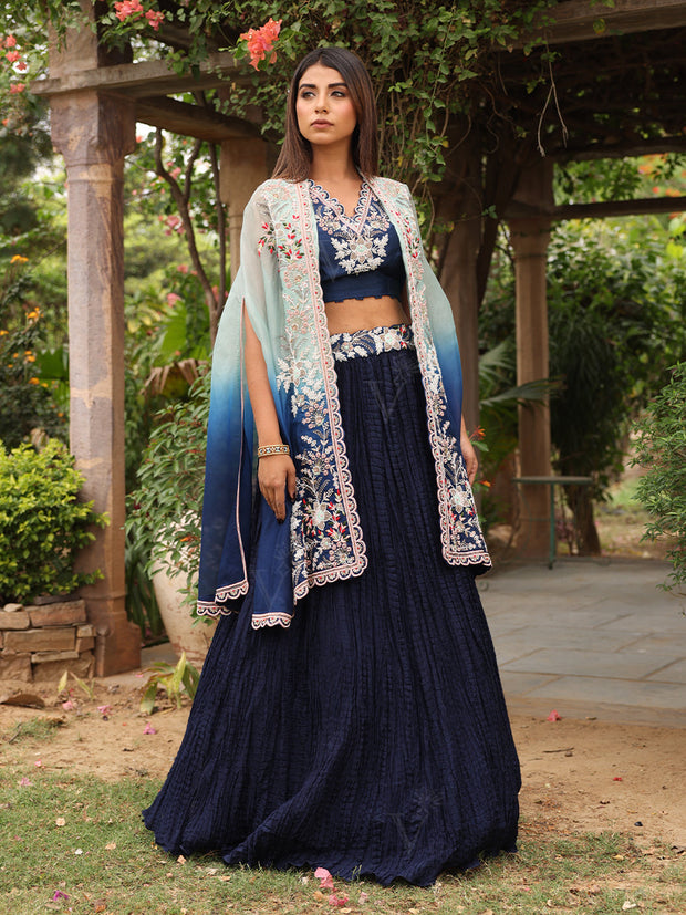 Blue Embroidered Organza Cape and Skirt Set