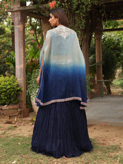 Blue Embroidered Organza Cape and Skirt Set