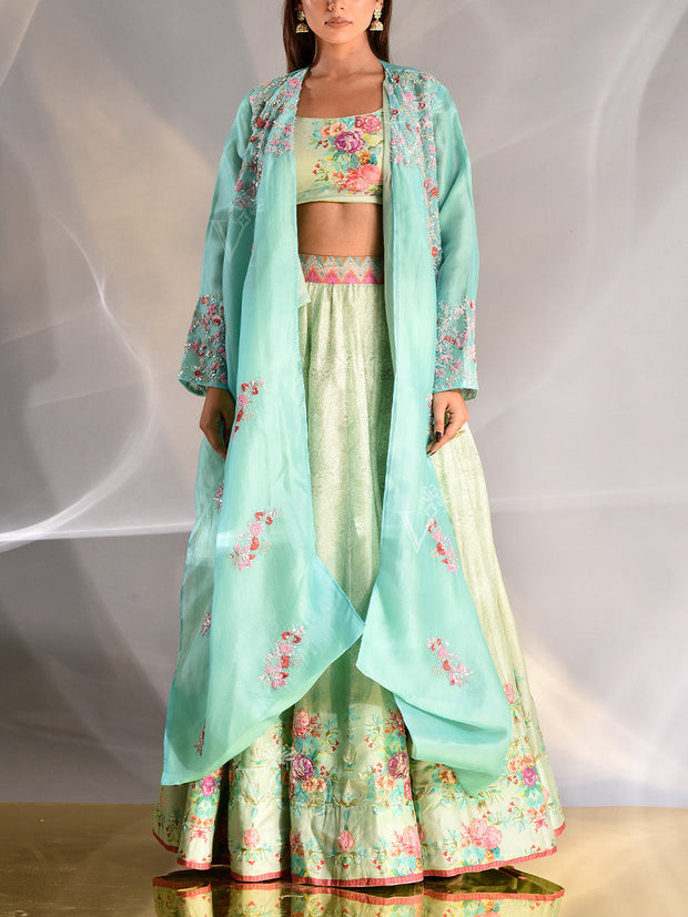 _label_New, DD35, MTO, RK,  Aqua Blue, blue, Vasansi Silk ,Printed Lehenga Set , lehenga set