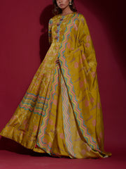 Olive Green Vasansi Silk Printed Anarkali Gown