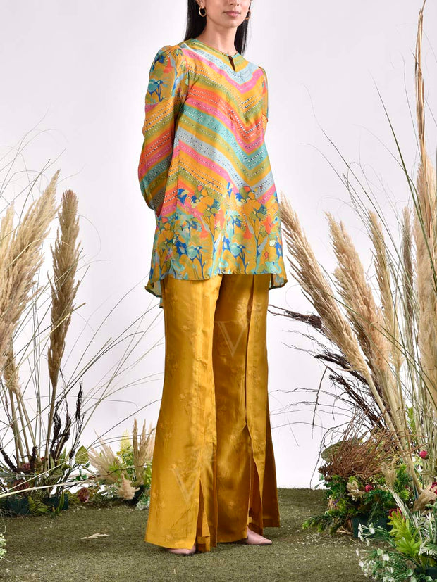 Multi Color Vasansi Silk Printed Co Ord Set