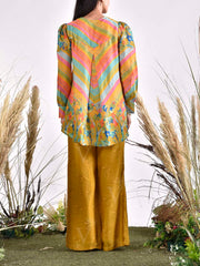 Multi Color Vasansi Silk Printed Co Ord Set