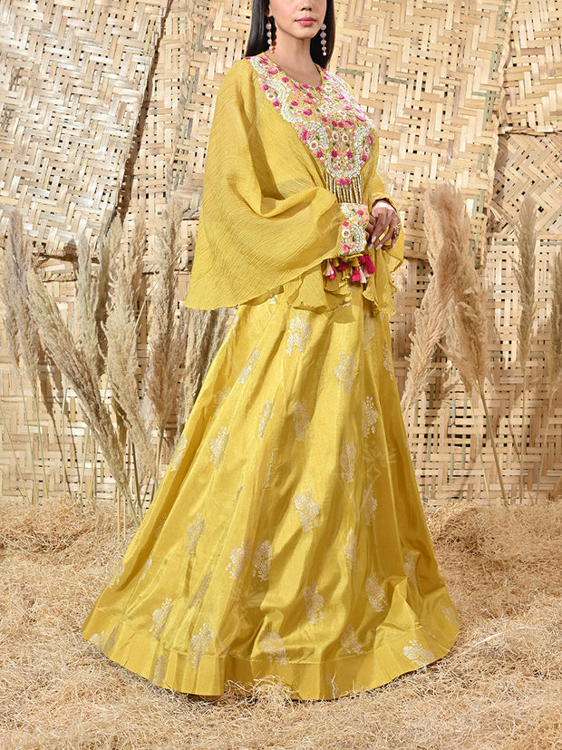 Yellow Embroidered Organza Cape and Silk Skirt Set
