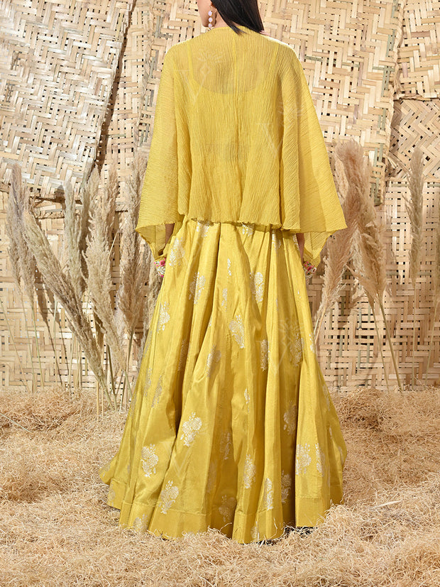Yellow Embroidered Organza Cape and Silk Skirt Set