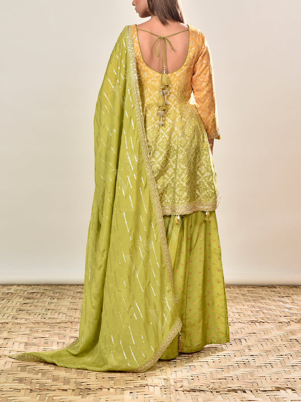 Green and Yellow Banarasi Silk Ombre Embroidered Suit Set