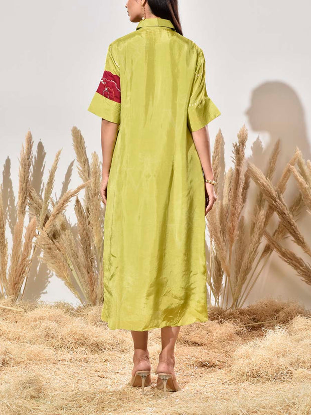 Green Highlighted Silk Kurta