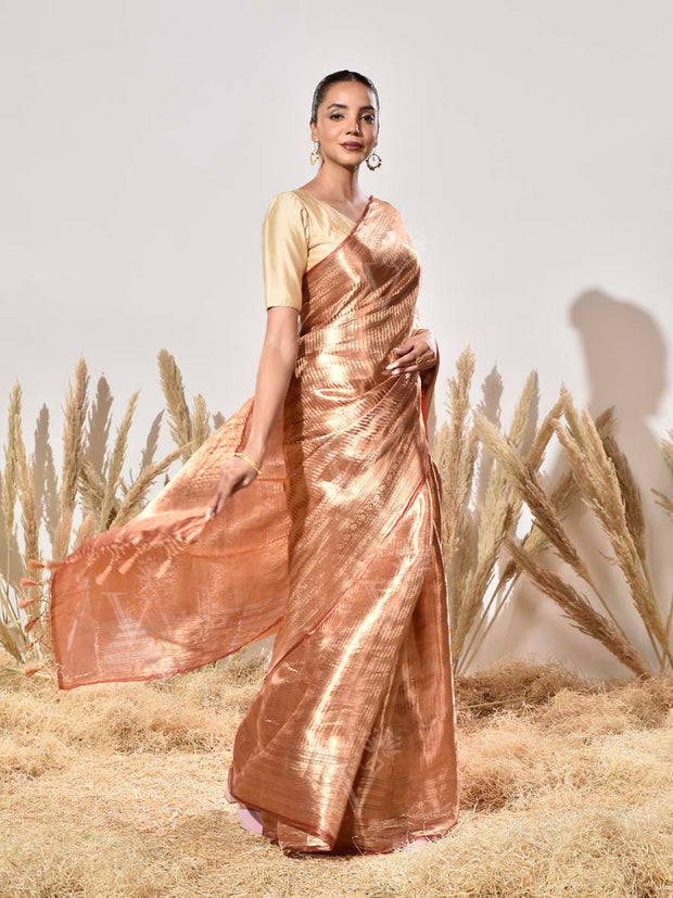 Brown Tissue Kanjeevaram Saree