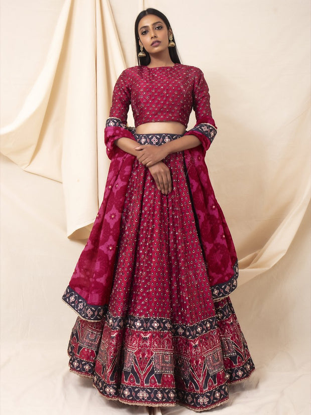 Cranberry Handcrafted Silk Booti Lehenga Set