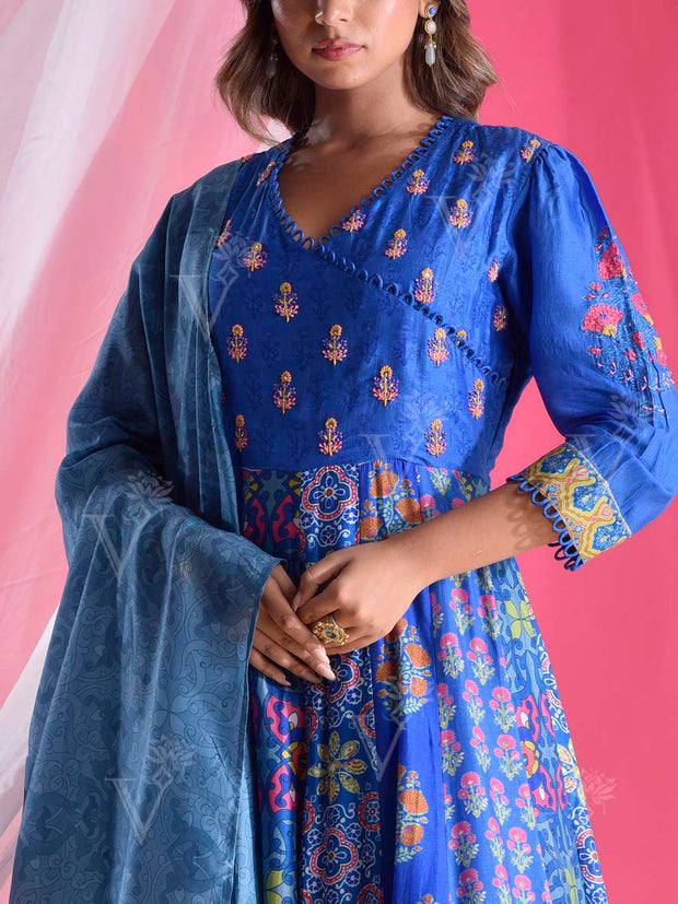 Blue Vasansi Silk Printed Anarkali Gown