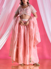 Pink Tissue Silk Embroidered Lehenga Set