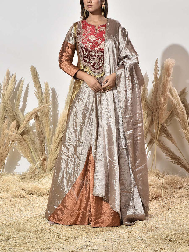 Brown and Golden Embroidered Tissue Gown