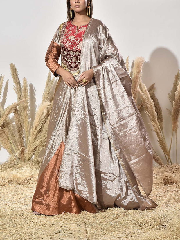 Brown and Golden Embroidered Tissue Gown