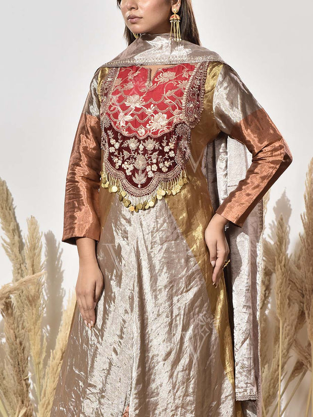 Brown and Golden Embroidered Tissue Gown