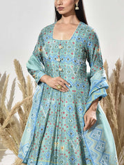 Blue Vasansi Silk Printed Anarkali Gown