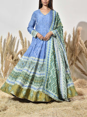 Blue and Green Vasansi Silk Printed Anarkali Gown