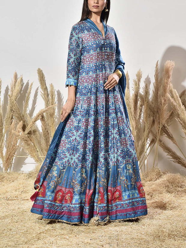 Blue Vasansi Silk Printed Anarkali Gown