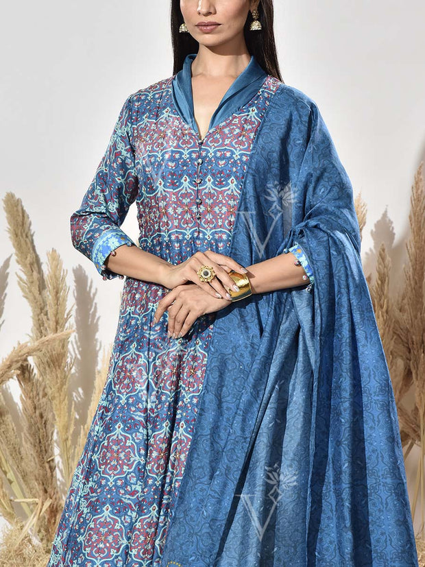 Blue Vasansi Silk Printed Anarkali Gown