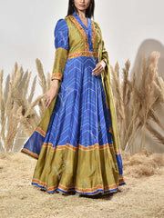 Blue and Green Vasansi Silk Printed Anarkali Gown