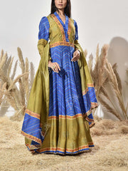 Blue and Green Vasansi Silk Printed Anarkali Gown