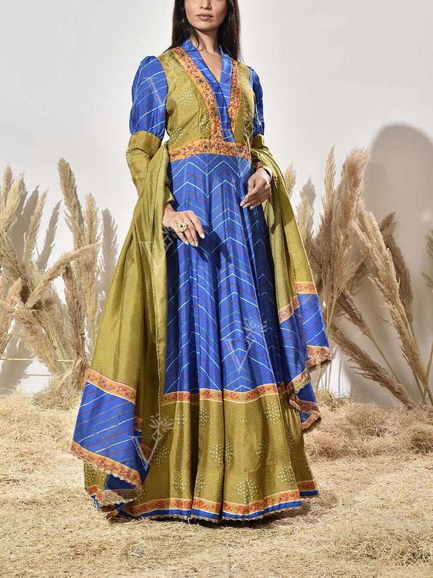Blue and Green Vasansi Silk Printed Anarkali Gown