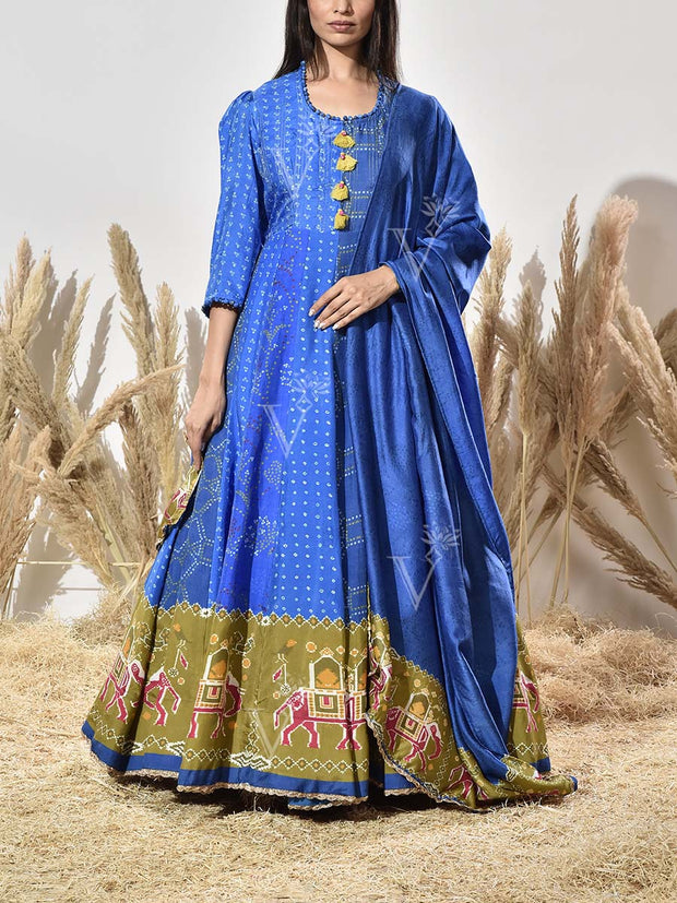 Blue Vasansi Silk Printed Anarkali Gown