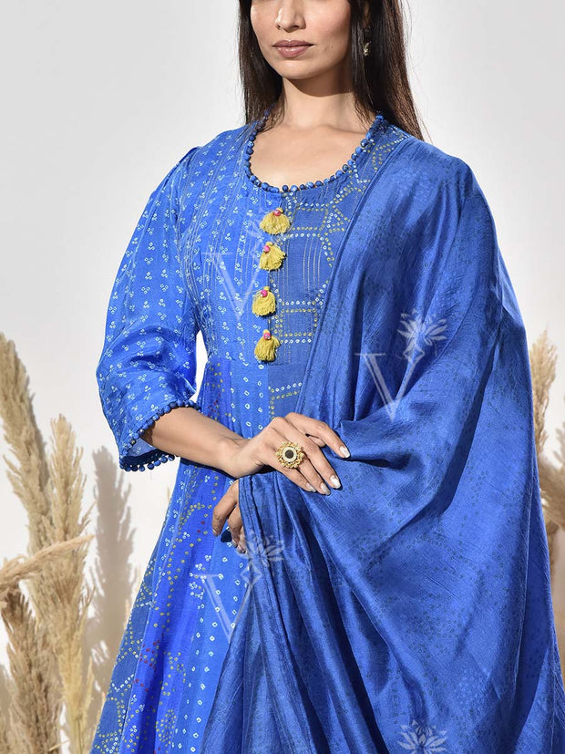 Blue Vasansi Silk Printed Anarkali Gown