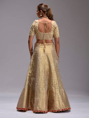 Golden Dola Silk Lehenga Set