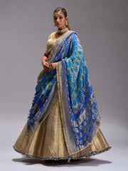 Golden Silk Dola Lehenga Set