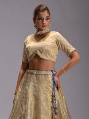 Golden Silk Dola Lehenga Set