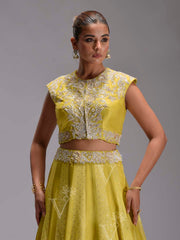 Lime Tissue Lehenga Set