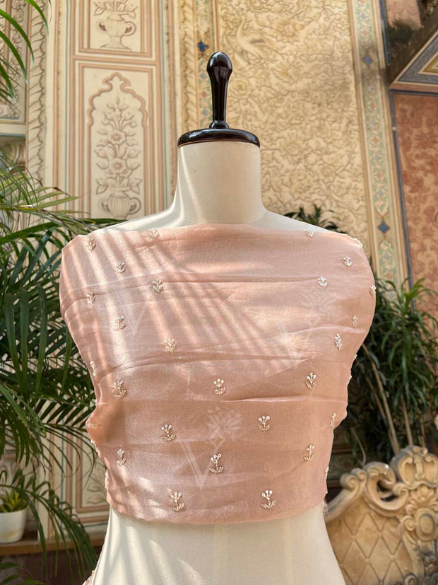 Peach Pink Tissue Organza Saree