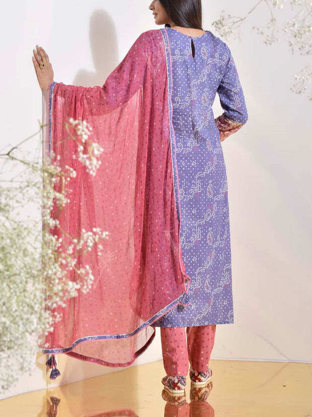 Pink and Purple Vasansi Silk Printed Suit Set