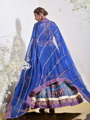 Blue Vasansi Silk Printed Lehenga Set